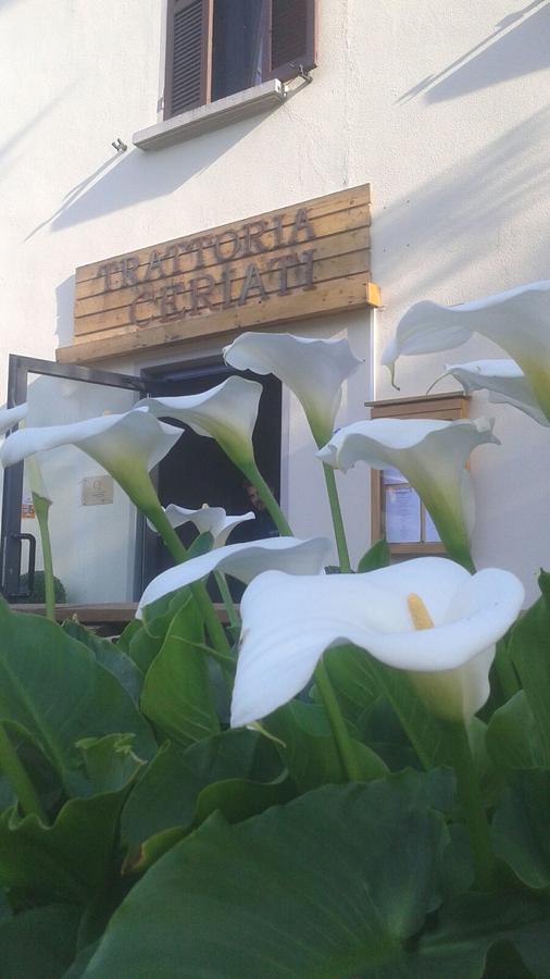Trattoria Ceriati Room & Breakfast Salsomaggiore Terme Luaran gambar